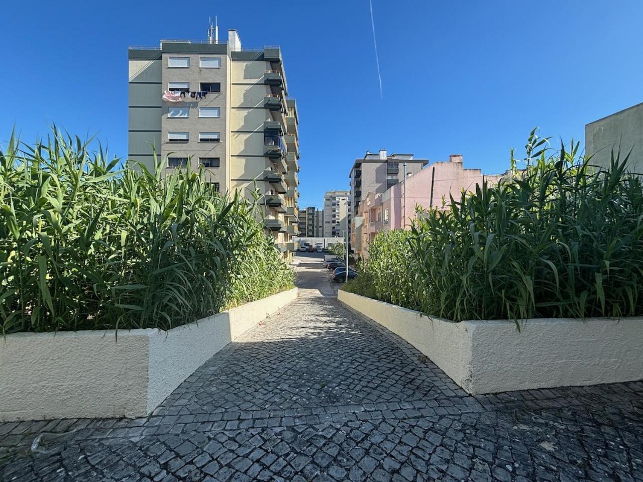 Rosario - Two Bedroom Apart- Buarcos -
